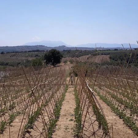 בית נופש Holiday House Colle Del Mondo Collecorvino